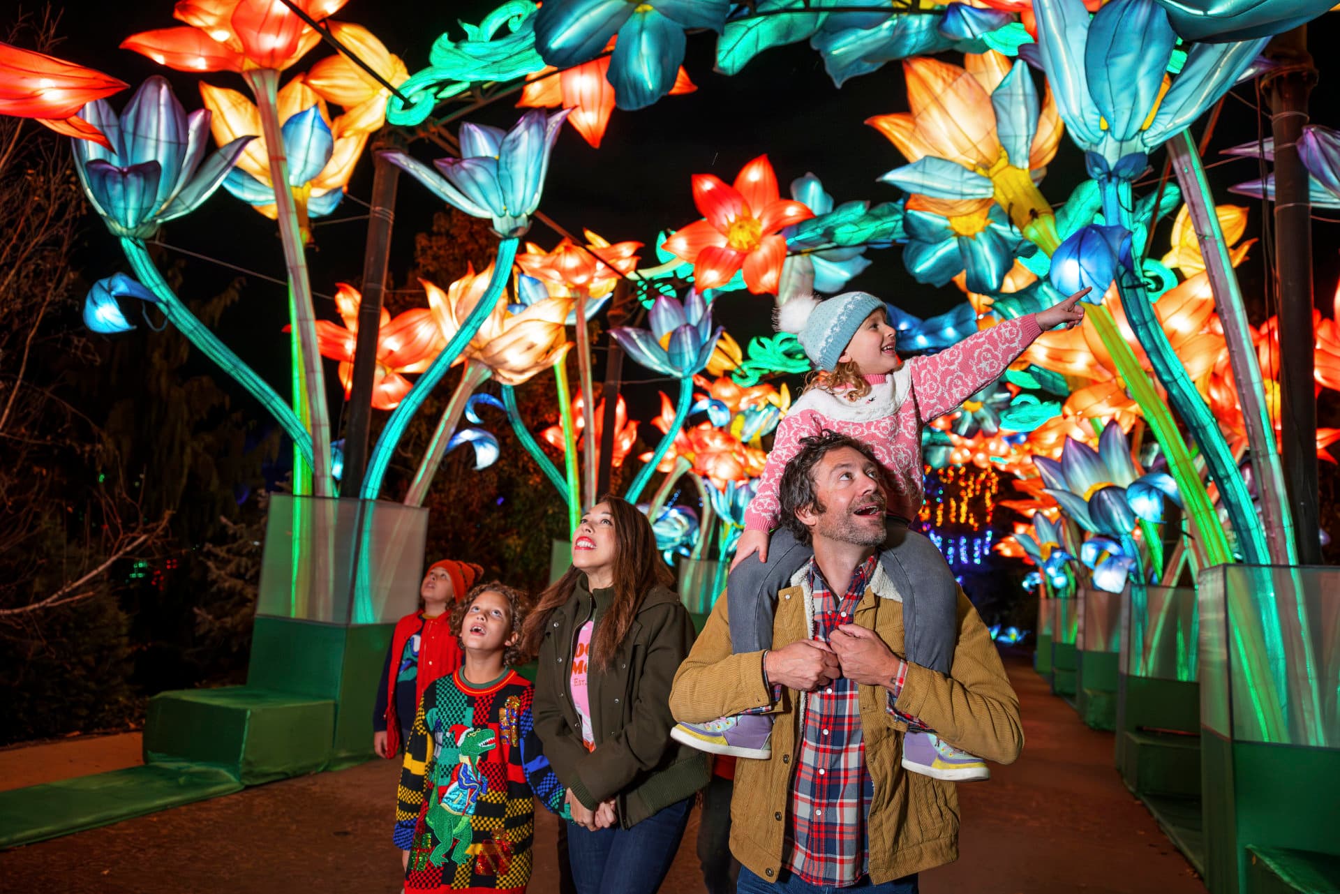 Zoolightful