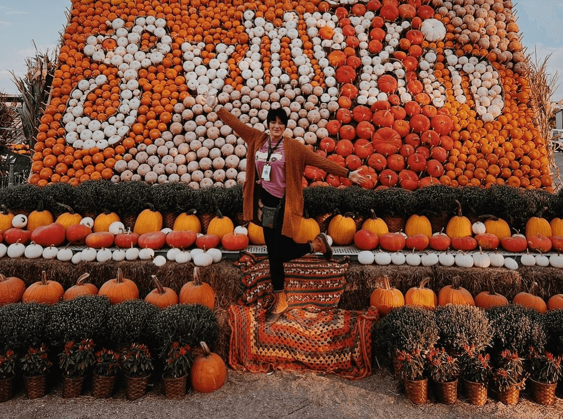 Junkstock: Harvest Edition