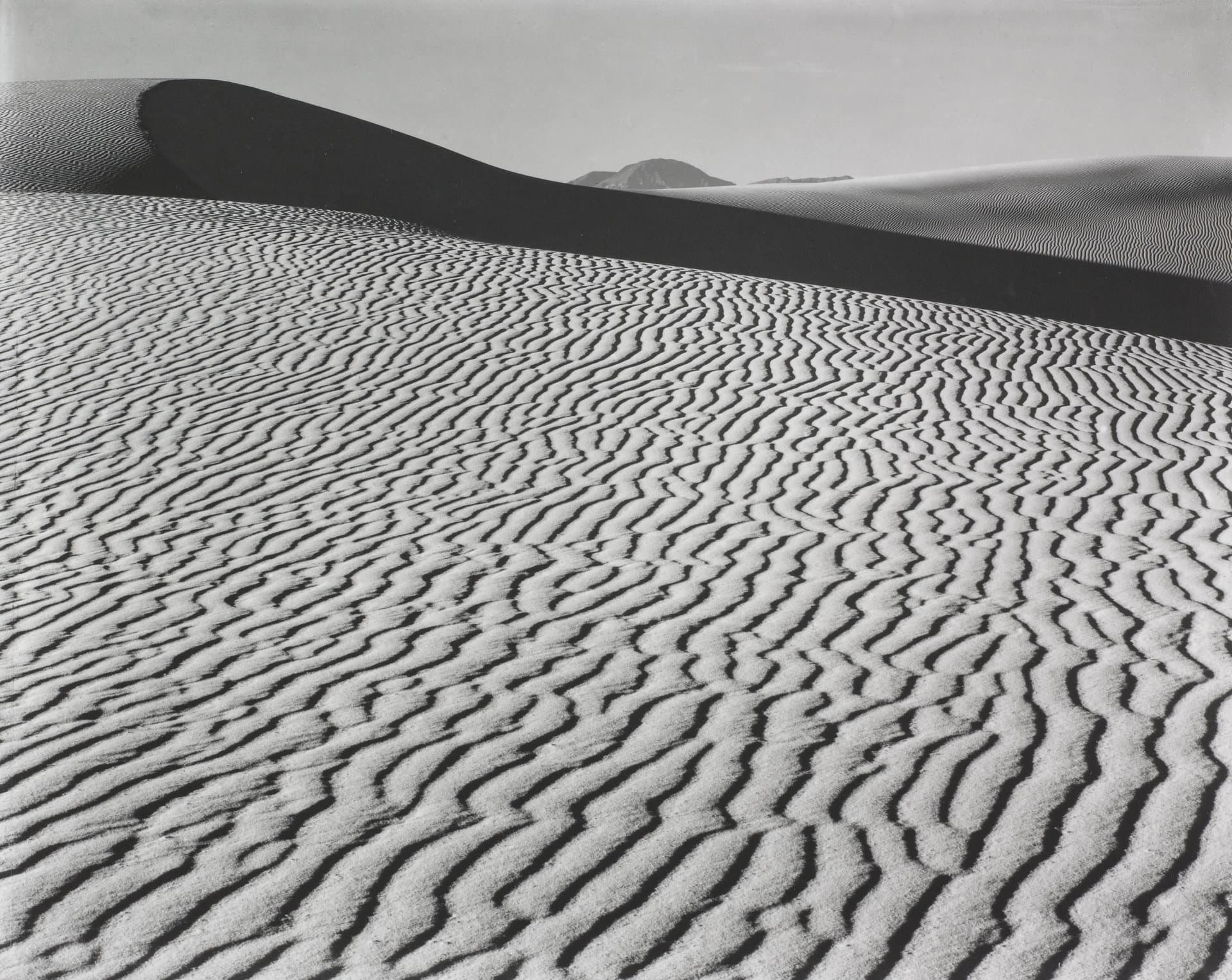 Through the Lens: American Photographs from the Carter Collection