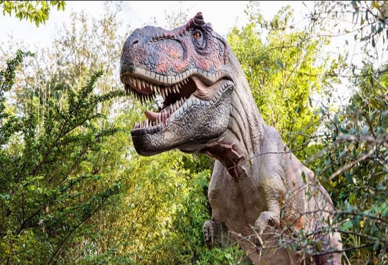 Dinosaurs Around the World: The Great Outdoors