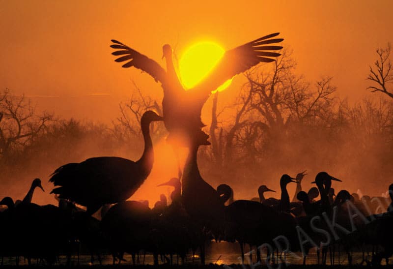 Nebraskaland Celebrating 100 Years Outdoors