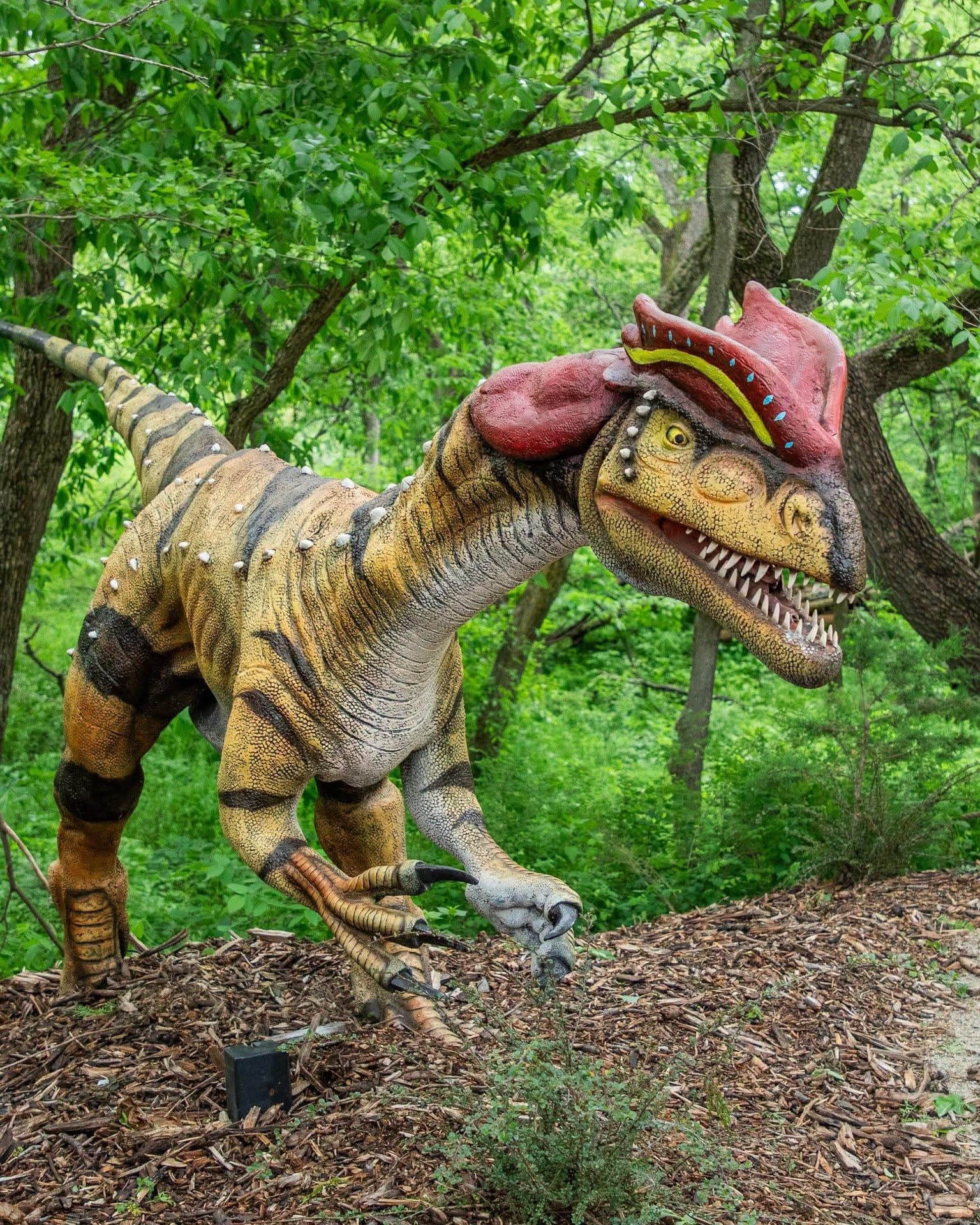 Dinosaurs Unearthed: A Trek Through Time