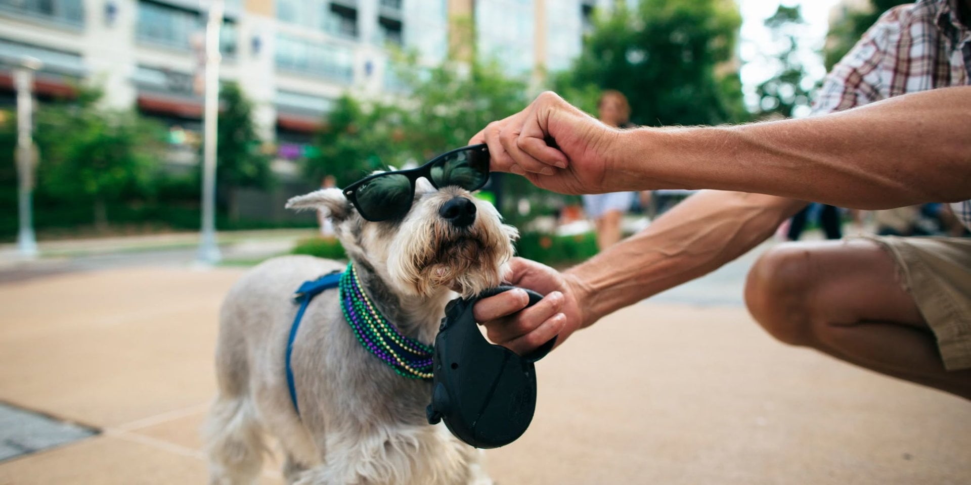 Midtown Pup Crawl & Treat Trail, presented by Bloc Fitness