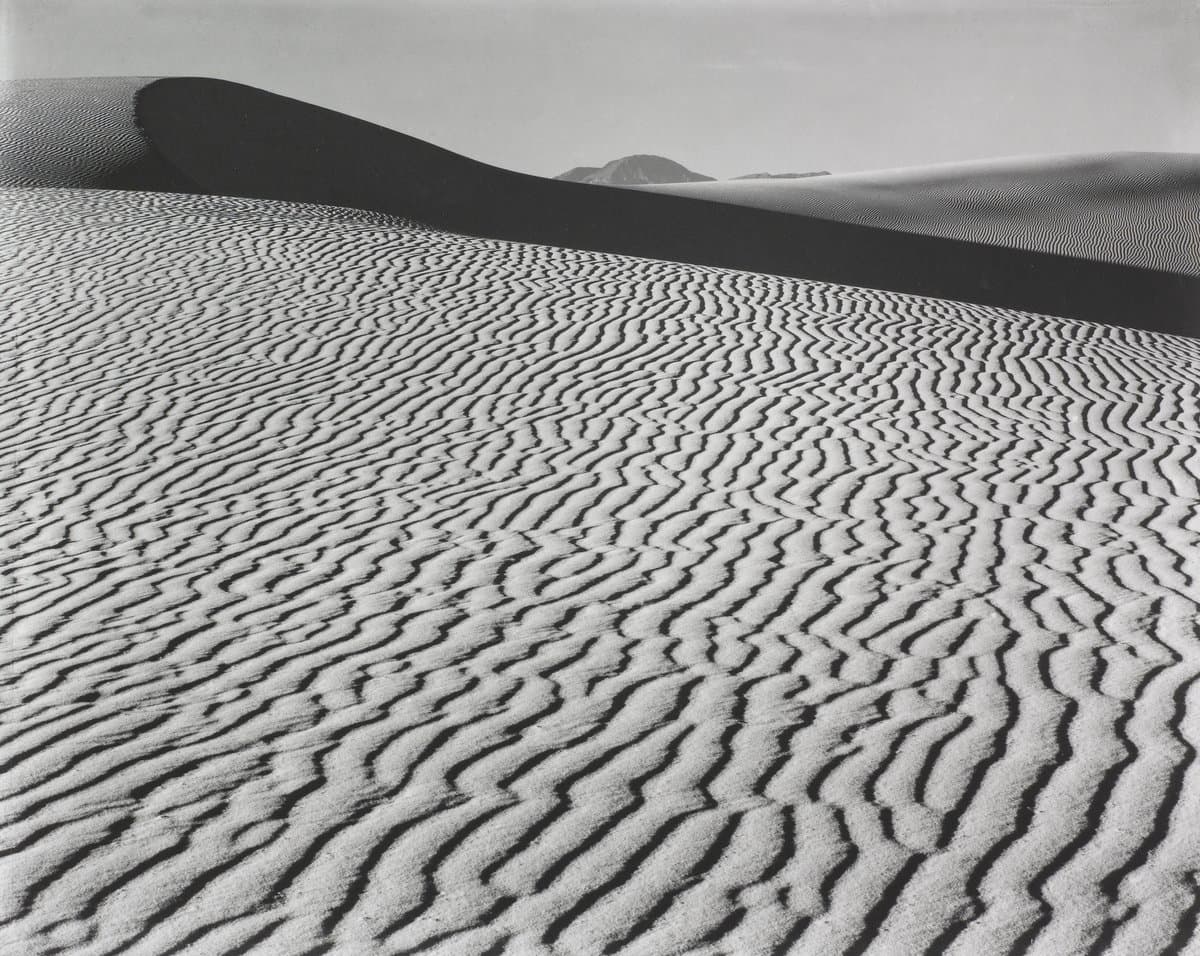 Through the Lens: American Photographs from the Carter Collection